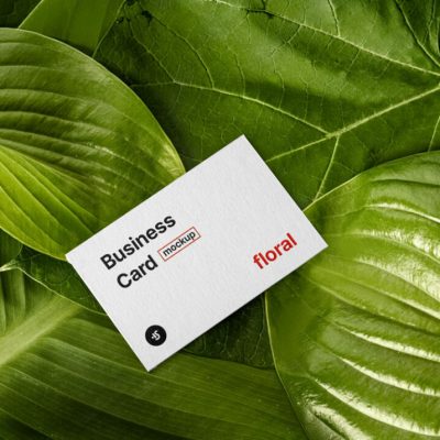 Printing Budget Business Card